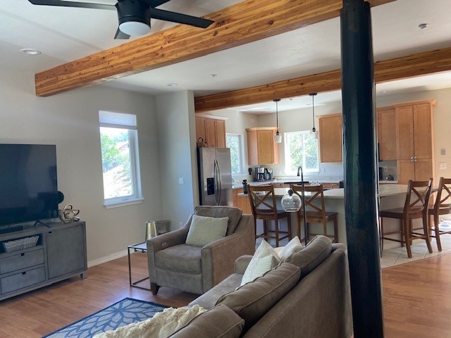 Living Room 1