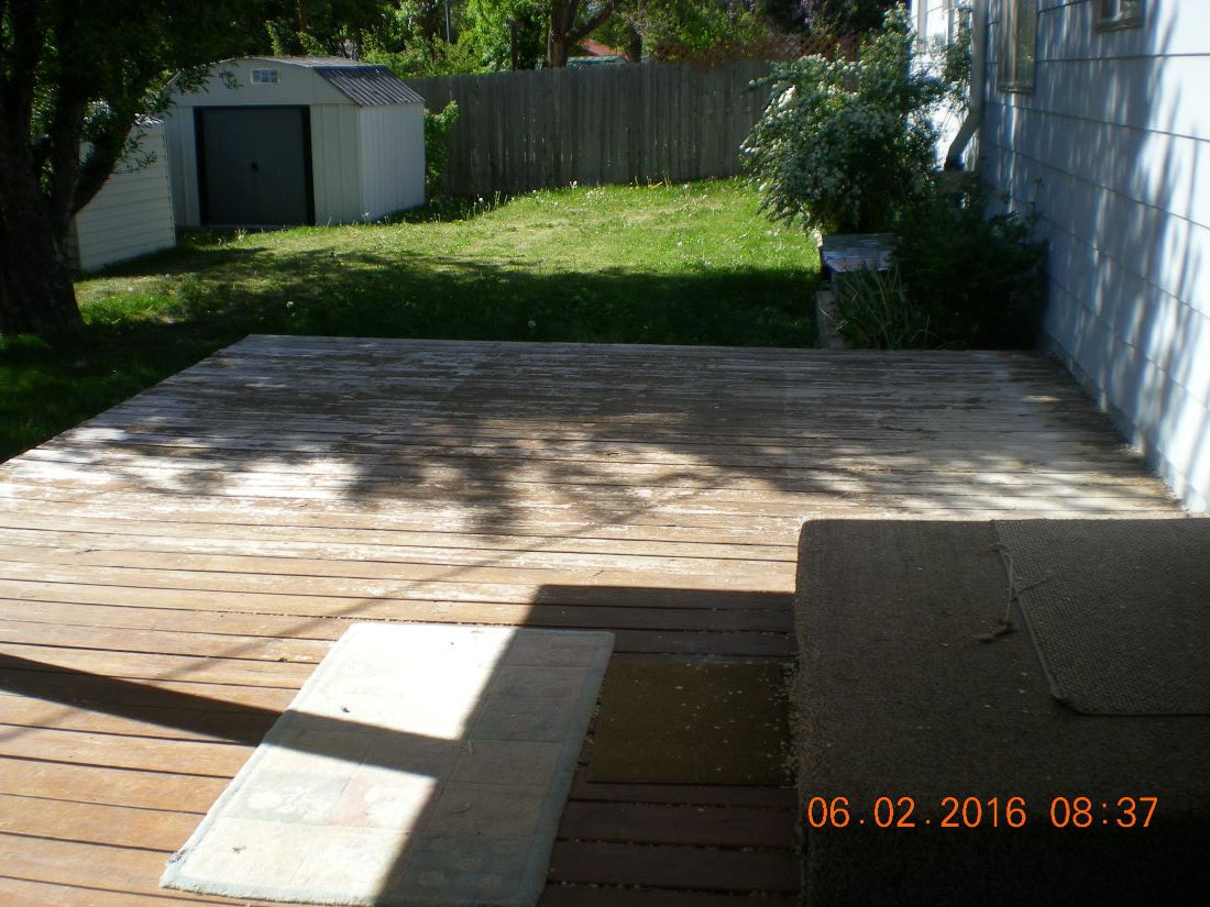 back yard